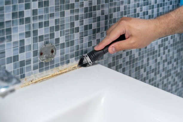 Best Mold Testing  in Fayetteville, TN